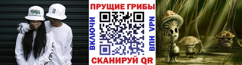 как найти закладки  Цимлянск  Галлюциногенные грибы ЛСД 